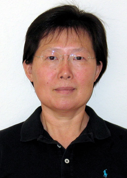 UCLA ECE Faculty Lixia Zhang